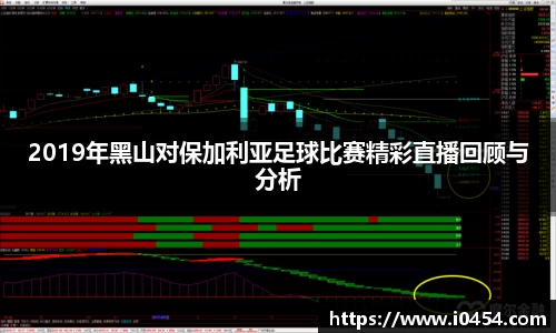 2019年黑山对保加利亚足球比赛精彩直播回顾与分析
